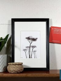 a giclée print featuring pine trees