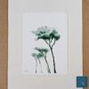 PN-II-green-in-use Pine trees II giclée print