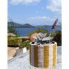 pot with succulent Yellow striped planter cover with a succulent
