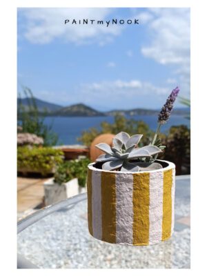 pot with succulent Yellow striped planter cover with a succulent