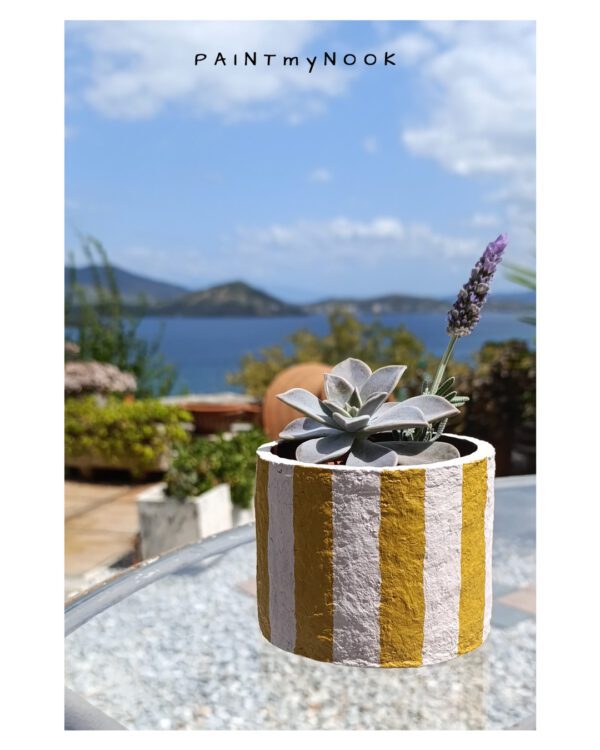 pot with succulent Yellow striped planter cover with a succulent