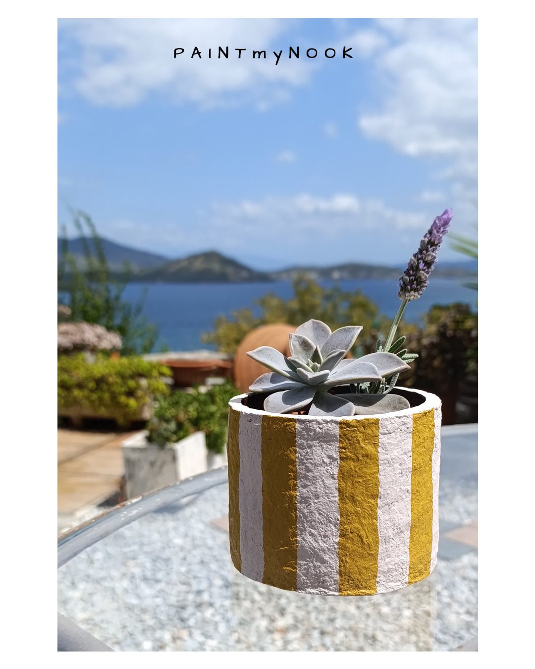 Yellow striped planter cover with a succulent