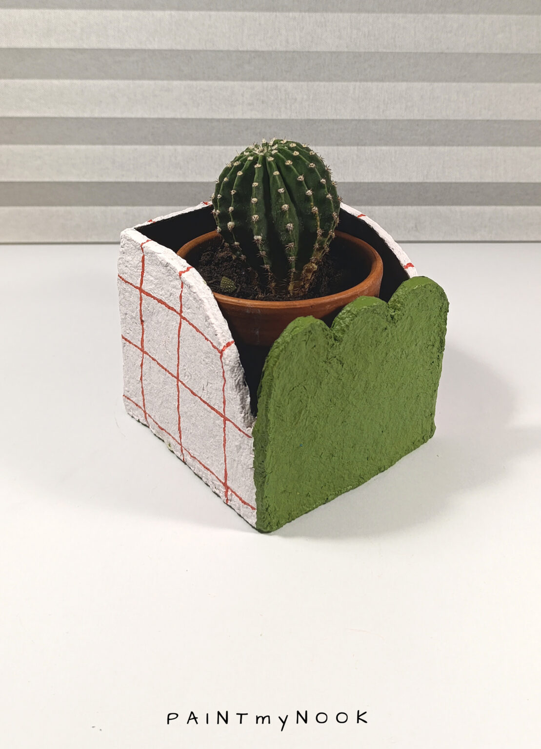Green Black front cactus